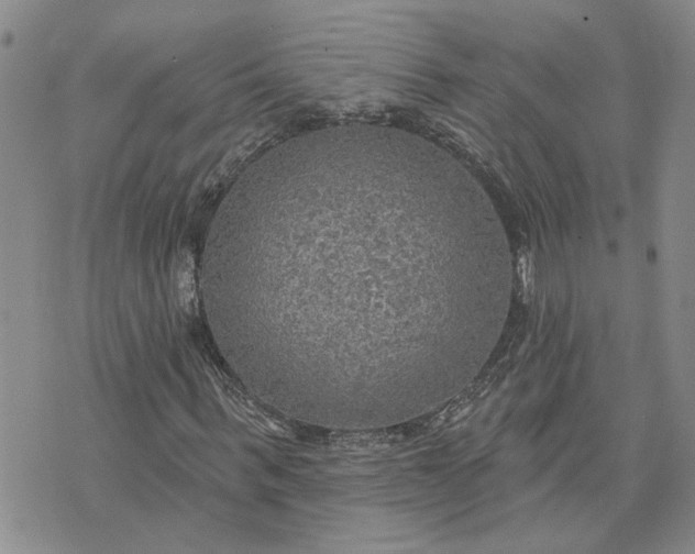 X0000072970963200608041214