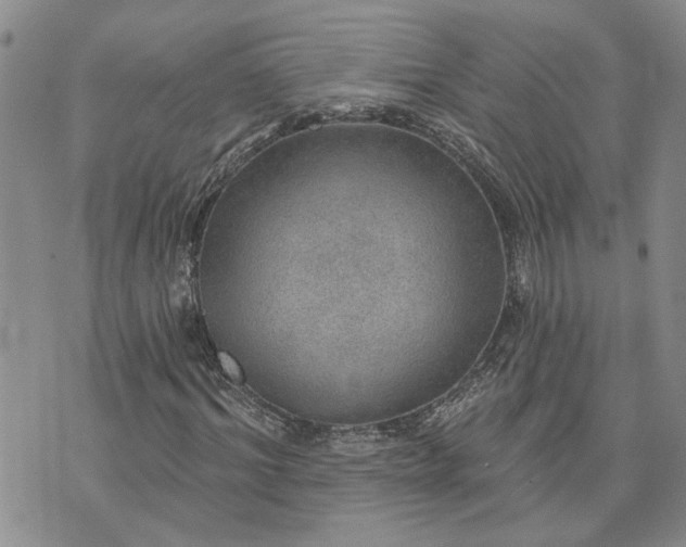 X0000072970964200608041214