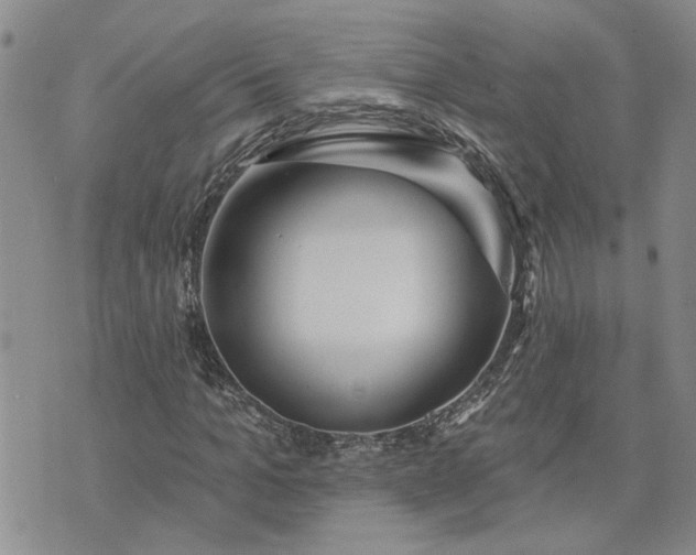 X0000072970965200608041214