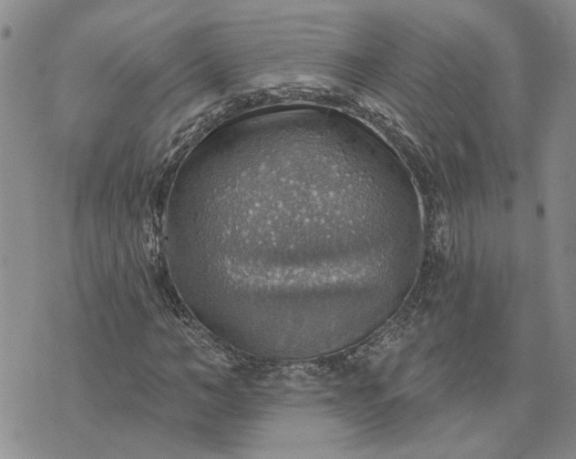 X0000072970966200608041214