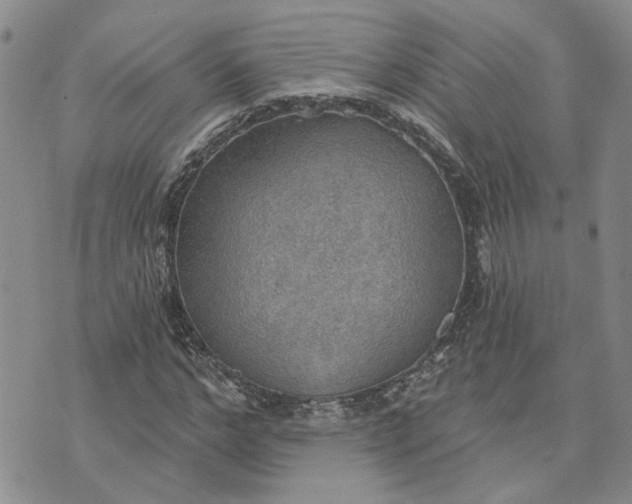 X0000072970968200608041214