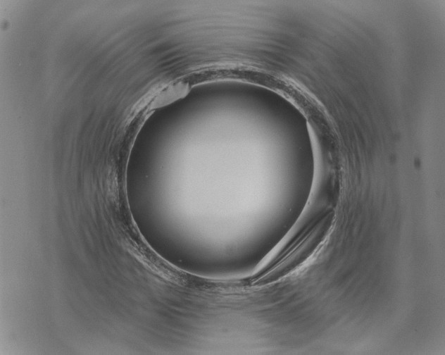 X0000072970969200608041214