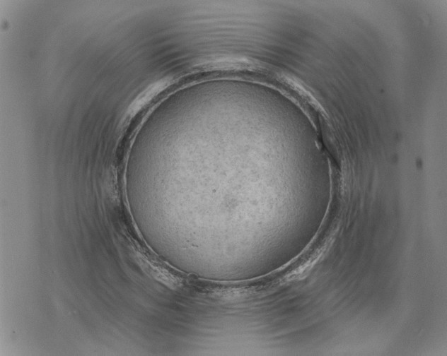 X0000072970970200608041214