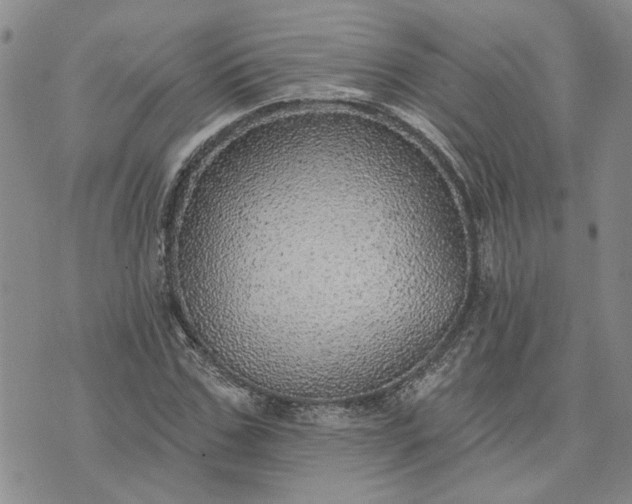 X0000072970971200608041214