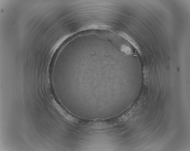 X0000072970972200608041214