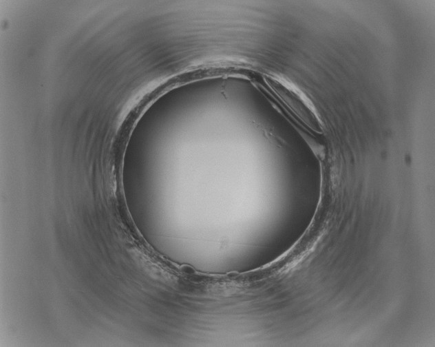 X0000072970973200608041214