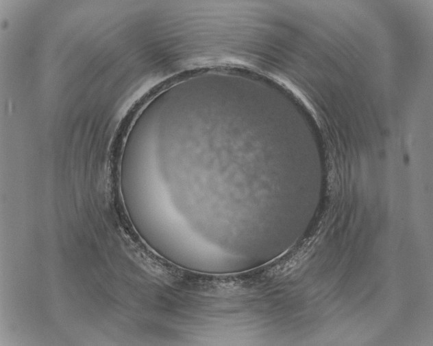 X0000072970975200608041214