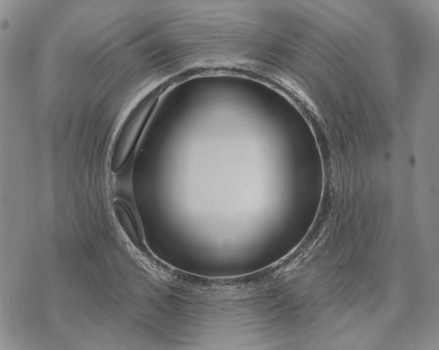 X0000072970976200608041214