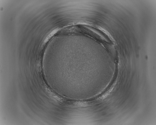 X0000072970977200608041214