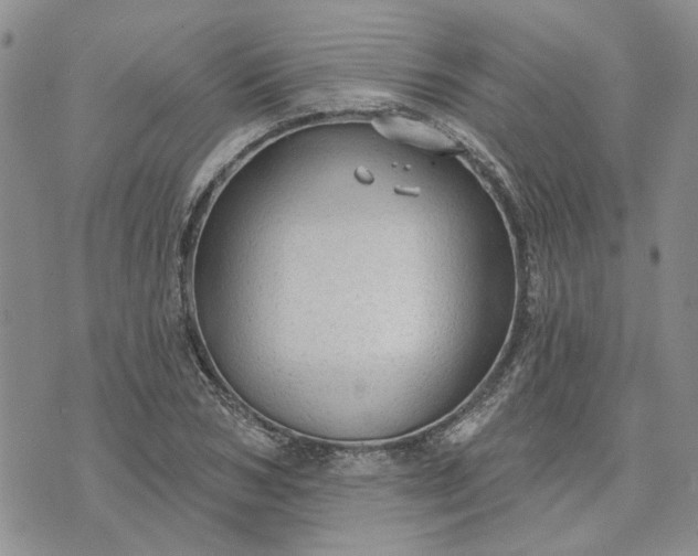 X0000072970978200608041214