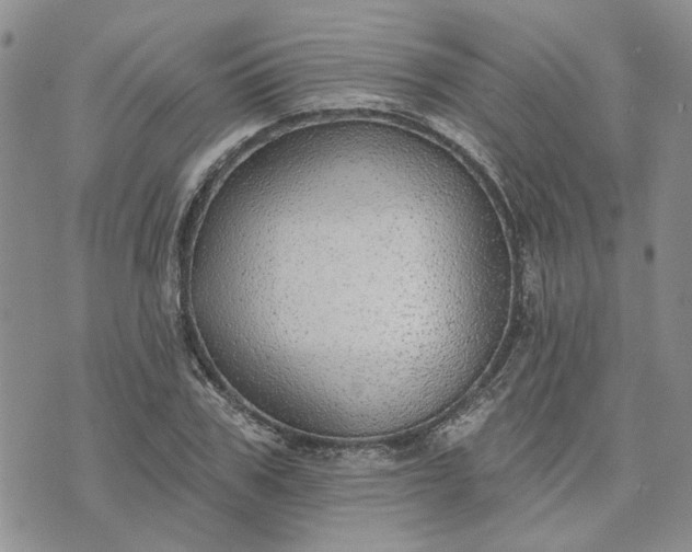 X0000072970979200608041214