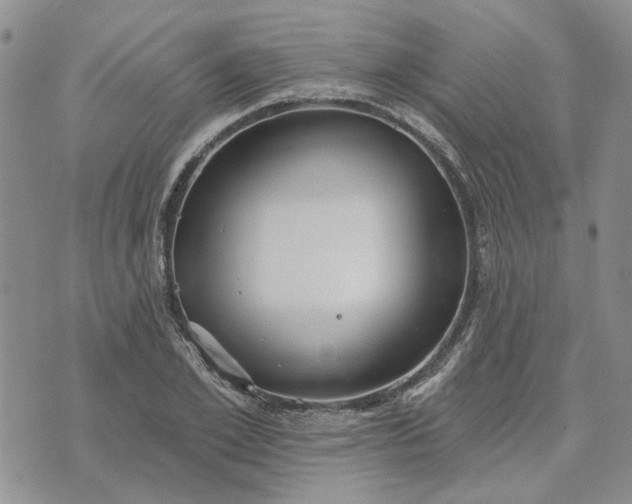 X0000072970981200608041214