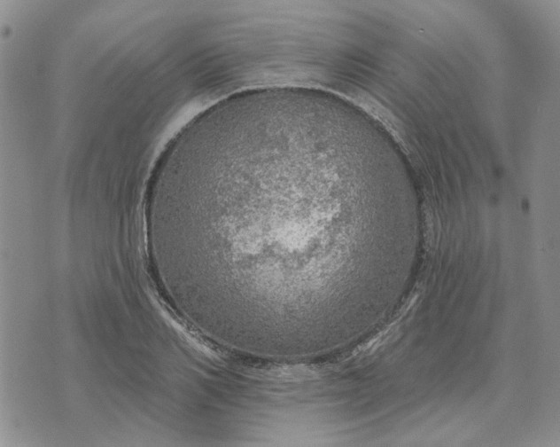 X0000072970982200608041214