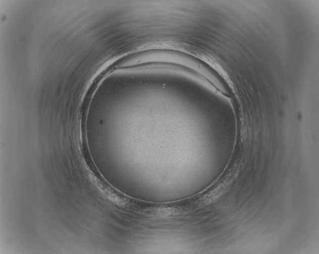 X0000072970984200608041213