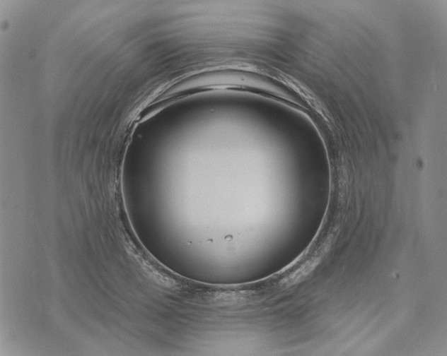 X0000072970985200608041213