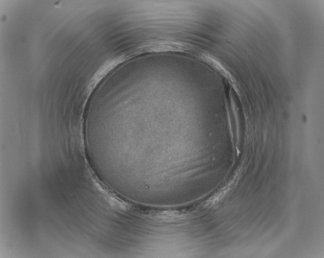 X0000072970986200608041213