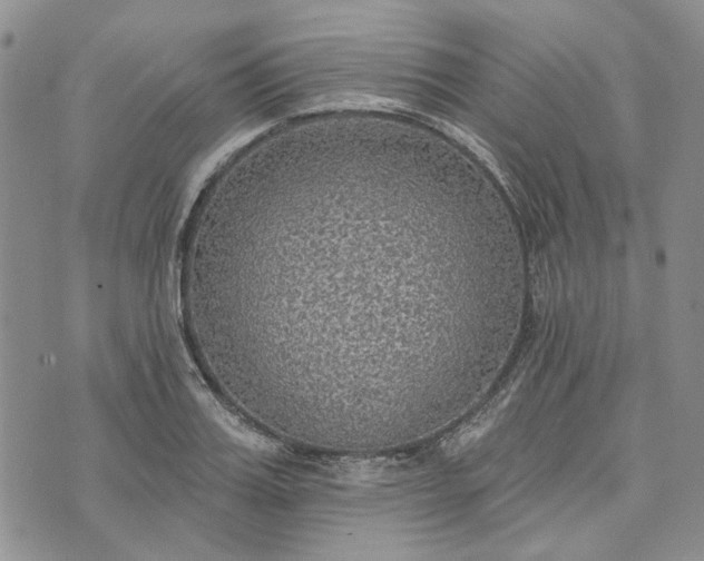 X0000072970987200608041213