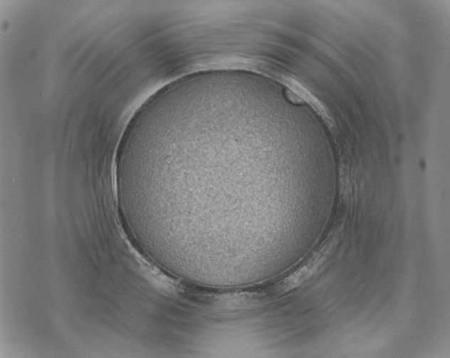 X0000072970988200608041213