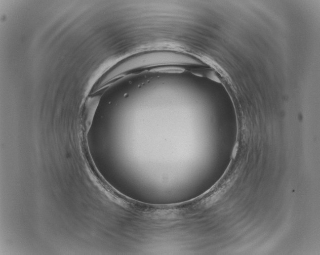 X0000072970989200608041213