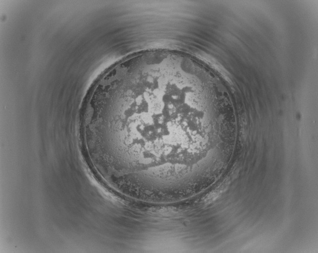 X0000072970991200608041213