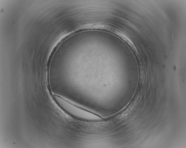 X0000072970992200608041213