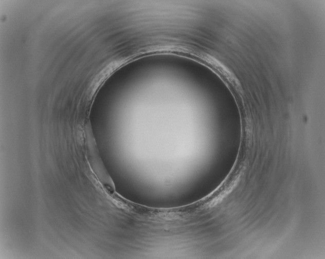 X0000072970993200608041213