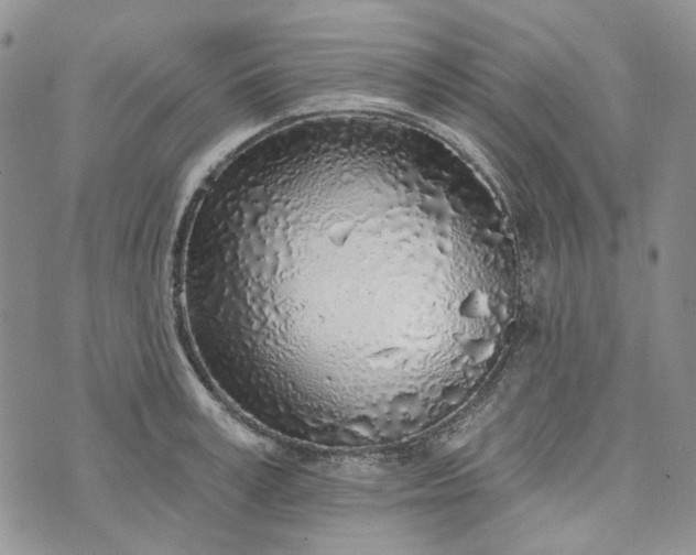 X0000072970995200608041213