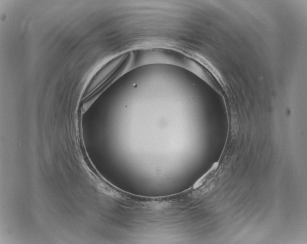 X0000072970996200608041213