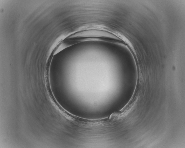 X0000072970997200608041213