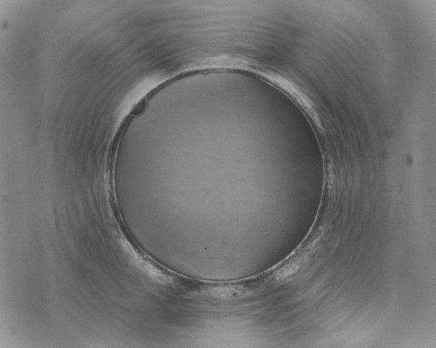 X0000072970998200608041213