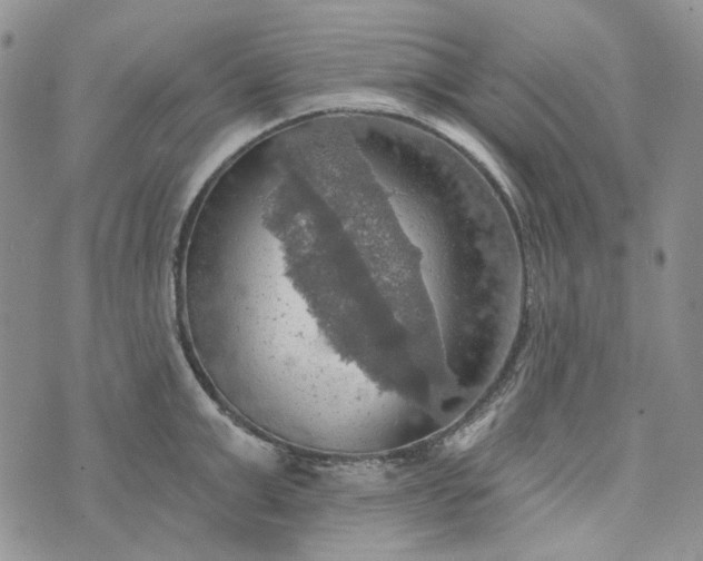 X0000072970999200608041213