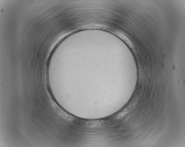 X0000072971000200608041213