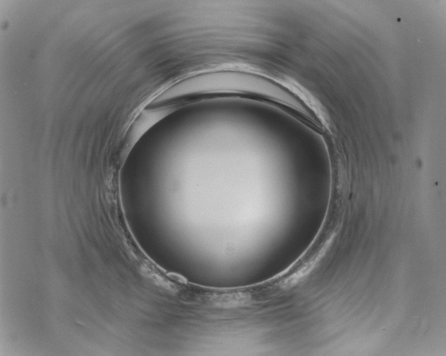 X0000072971001200608041213