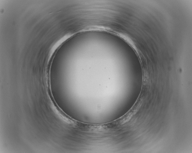 X0000072971003200608041213