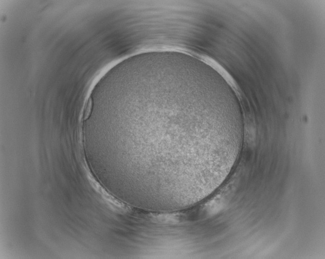 X0000072971004200608041213