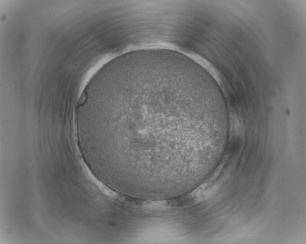 X0000072971006200608041213