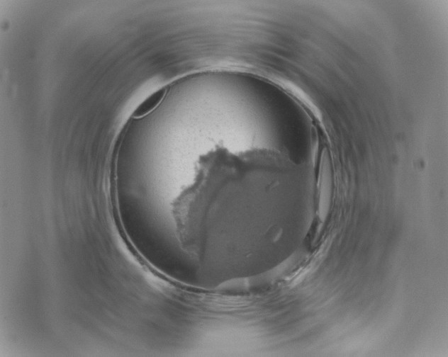 X0000072971007200608041213