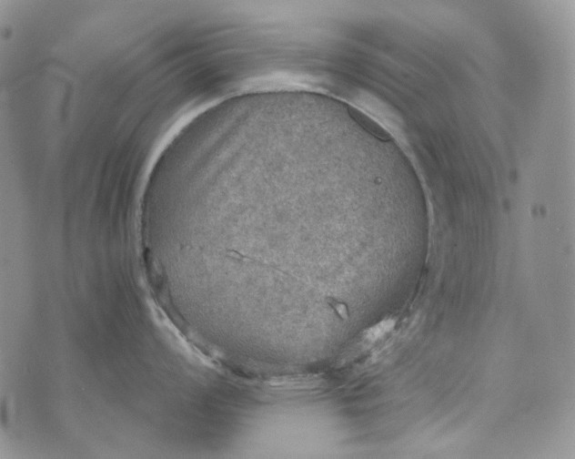 X0000072971008200608041213