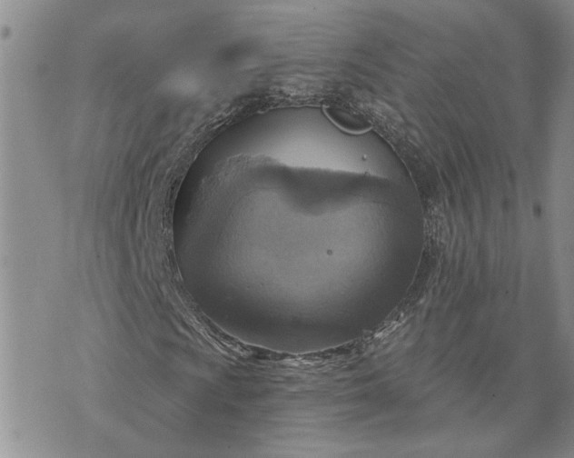 X0000072971009200608041212