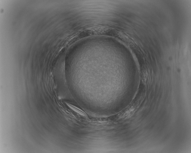 X0000072971010200608041212