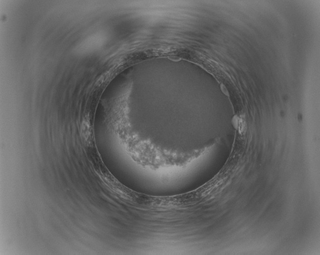 X0000072971011200608041212