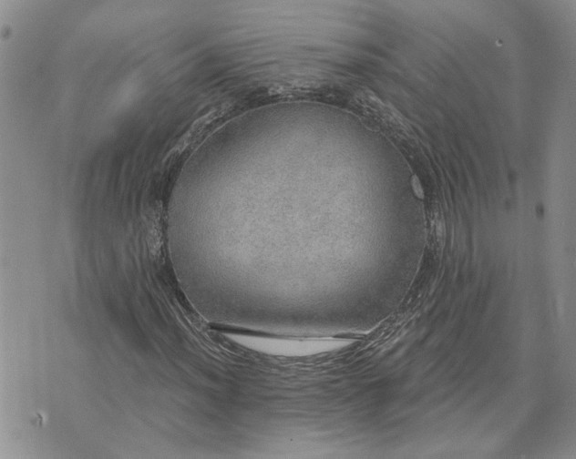 X0000072971012200608041212