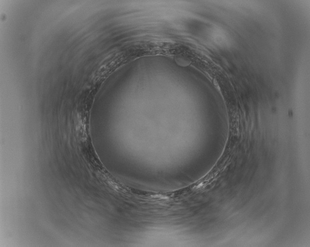 X0000072971013200608041212