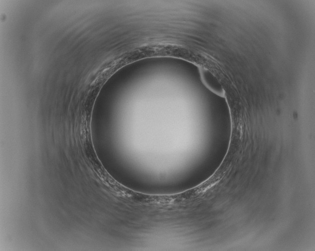 X0000072971014200608041212