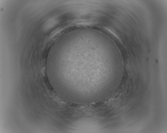 X0000072971015200608041212