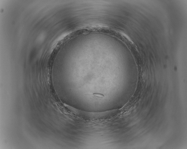 X0000072971016200608041212