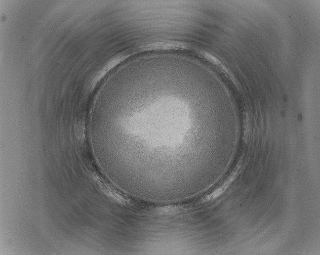 X0000072971017200608041212