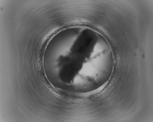 X0000072971018200608041212