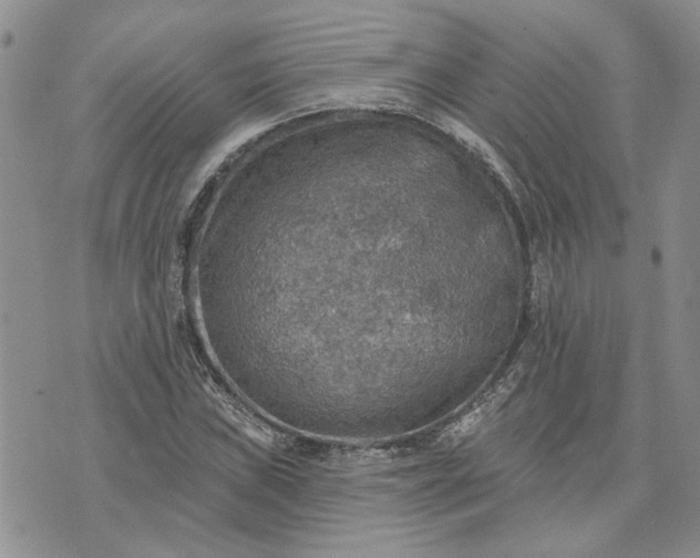 X0000072971019200608041212