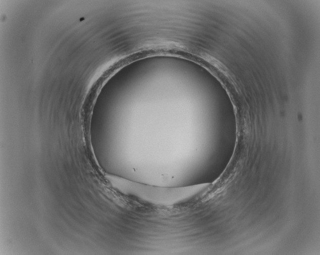 X0000072971022200608041213